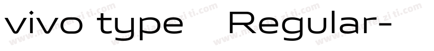 vivo type 简 Regular字体转换